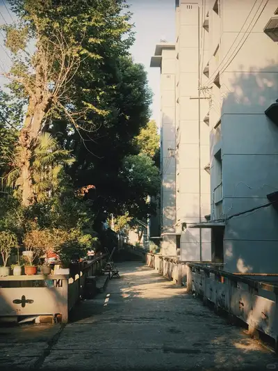 hz/X小区/X萧山/小区11